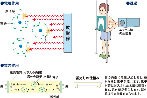 画像：放射線の性質