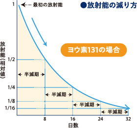 画像：放射能の減り方