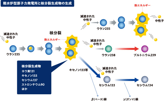 画像：軽水炉型原子力発電所と核分裂生成物の生成