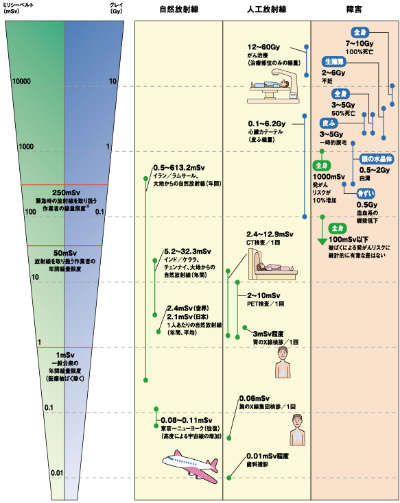画像：放射線被ばく早見表