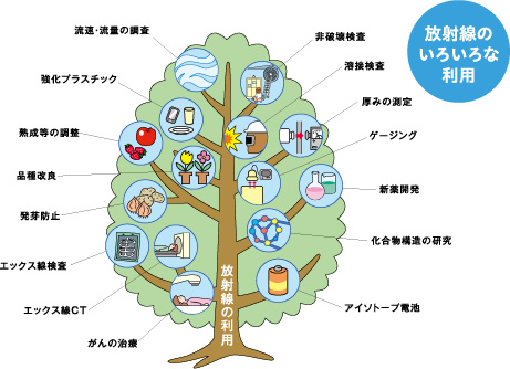 画像：放射線のいろいろな利用